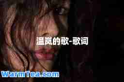 温岚的歌-歌词