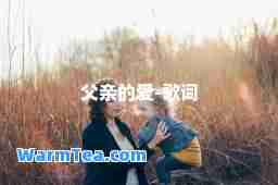 父亲的爱-歌词