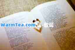 爱情歌词-歌词
