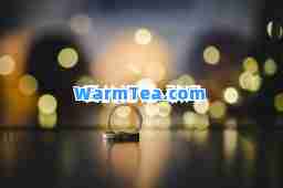 爱的记忆-歌词 爱的记忆-歌词