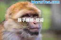 猴子摘桃-歌词