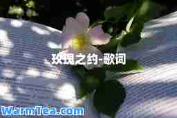 玫瑰之约-歌词