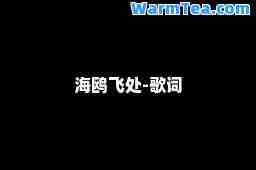 海鸥飞处-歌词