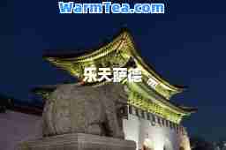 乐天萨德 乐天萨德