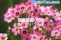 甜蜜花园-歌词