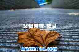 父母恩情-歌词