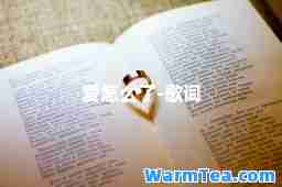 爱怎么了-歌词