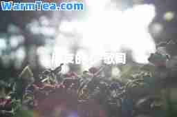 朋友的心-歌词