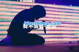 我不需要-歌词