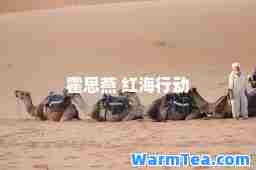 霍思燕 红海行动