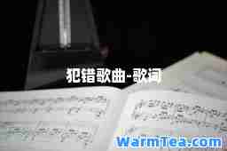 犯错歌曲-歌词