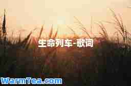 生列车-歌词