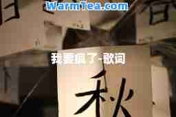 我要疯了-歌词