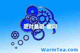是对是错-歌词