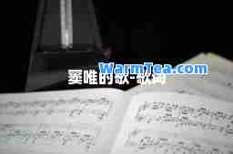 窦唯的歌-歌词