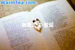 我是公主-歌词
