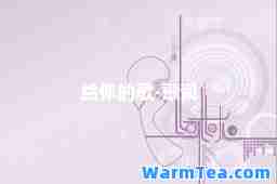 给你的歌-歌词