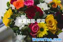 我爱祖国-歌词