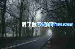 爱了散了-歌词