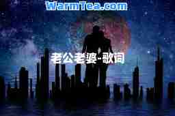 老公老婆-歌词
