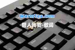 管人我要-歌词