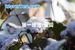 场雪-歌词