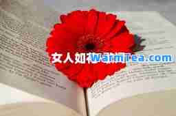 女人如花-歌词
