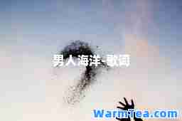 男人海洋-歌词