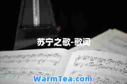 苏宁之歌-歌词