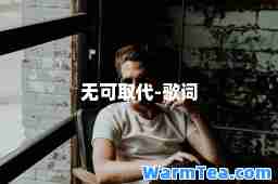 无可取代-歌词