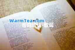 苍白爱情-歌词
