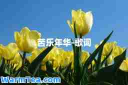 苦乐年华-歌词