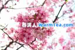 春满人间-歌词