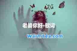 老婆你好-歌词