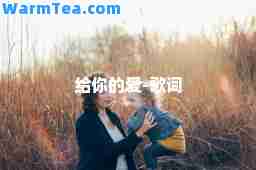 给你的爱-歌词