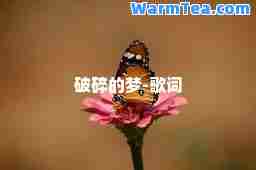破碎的梦-歌词