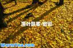 落叶飘零-歌词
