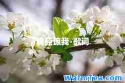 请原谅我-歌词