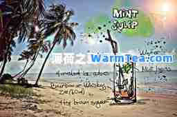 薄荷之夏-歌词