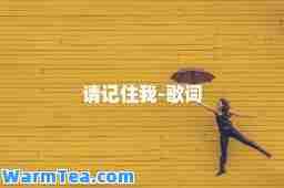 请记住我-歌词
