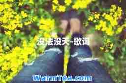 没法没天-歌词