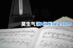 莫生气歌-歌词