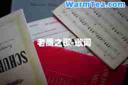 老鹰之歌-歌词