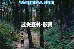 迷失森林-歌词