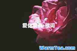 爱你爱我-歌词
