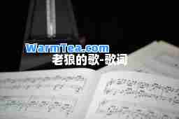 老狼的歌-歌词
