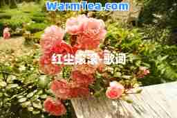 红尘滚滚-歌词
