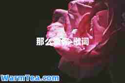 那么爱你-歌词