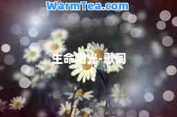生阳光-歌词