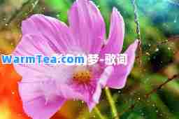 彩色的梦-歌词